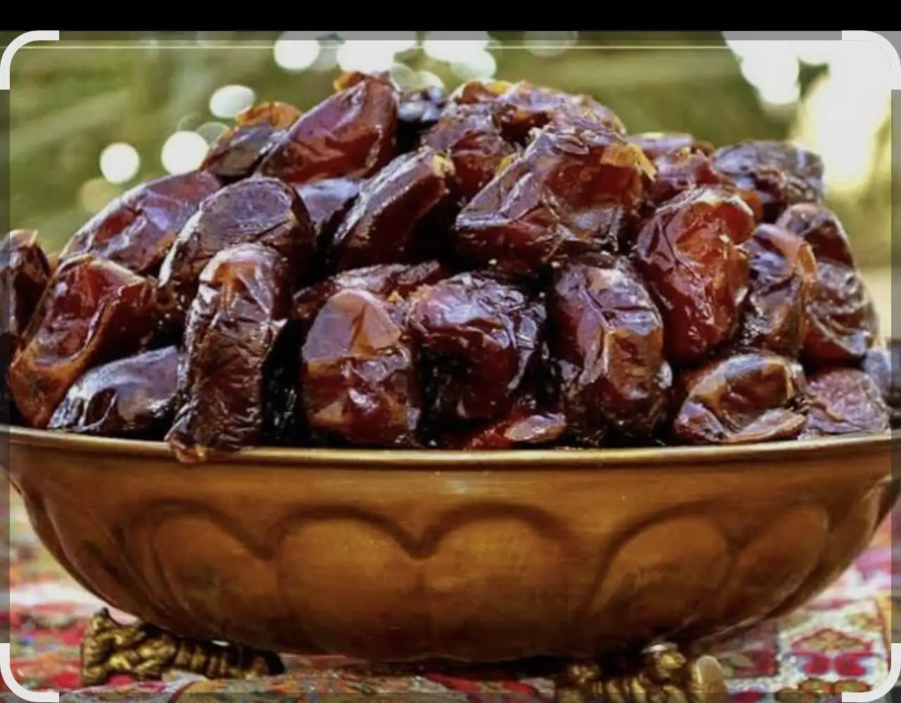 Kabkab dates are one of Iran’s most traditional and popular date varieties, known for their soft texture, rich sweetness, and natural syrup. Grown mainly in Bushehr and Fars, they are ideal for bulk buyers, natural confectionery, and economic export markets.