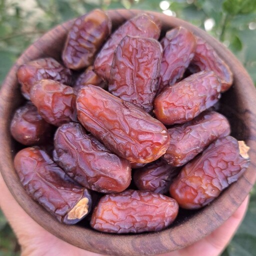 Best Iranian Dates for Food Manufacturing and Processing | A Guide for Bulk Buyers