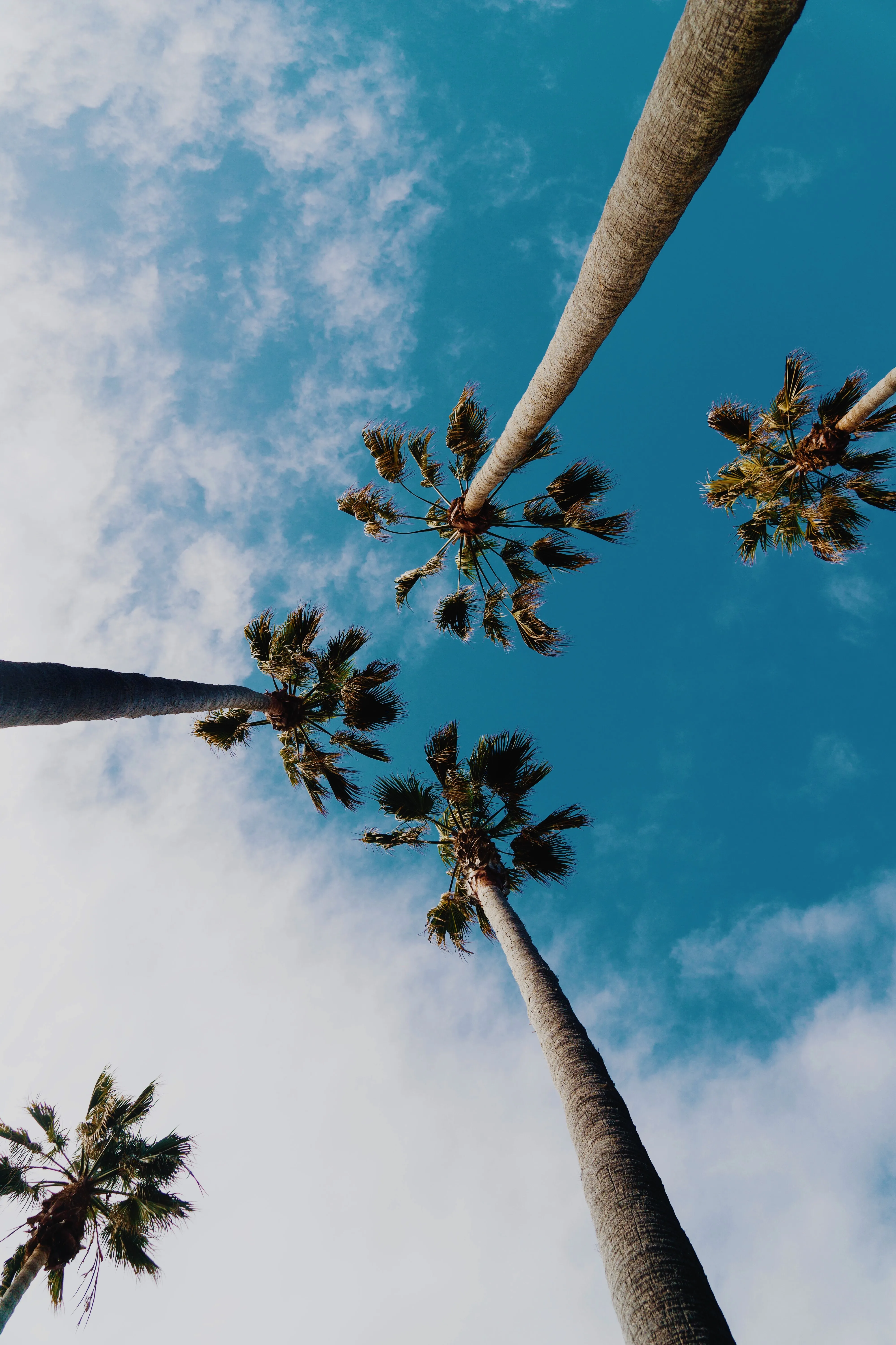 عکس 2